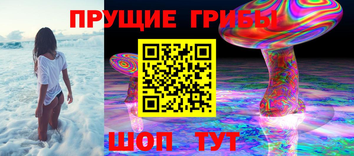 Псилоцибиновые грибы прущие грибы Павловский Посад