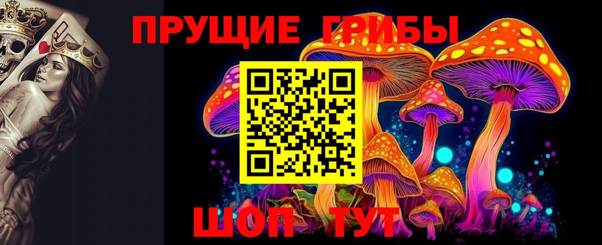 Павловский Посад  Псилоцибиновые грибы прущие грибы  Вход с VPN  Галлюциногенные грибы Cubensis 